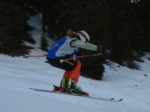 DSCF0262.JPG (31KB)