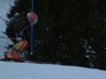 DSCF0264.JPG (29KB)