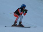 DSCF0271.JPG (24KB)