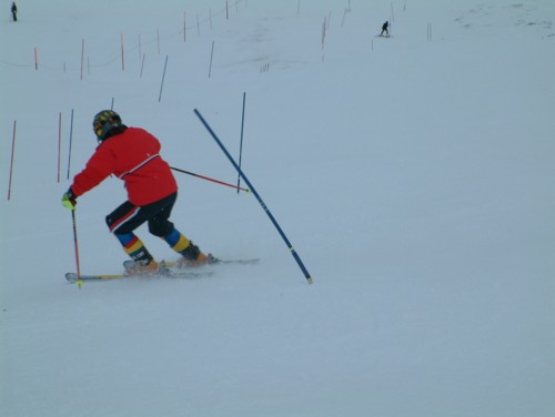 DSCF0046.JPG (19KB)