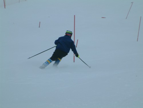 DSCF0050.JPG (14KB)