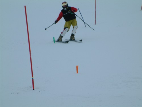 DSCF0061.JPG (17KB)