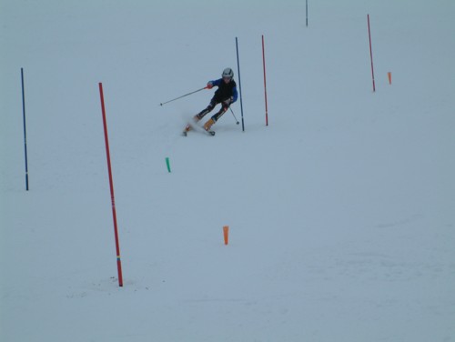 DSCF0068.JPG (14KB)