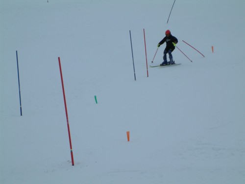 DSCF0073.JPG (15KB)