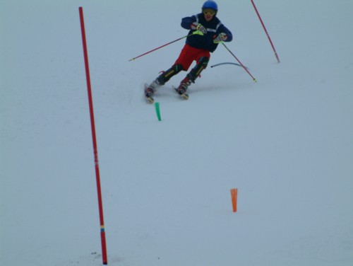 DSCF0083.JPG (17KB)