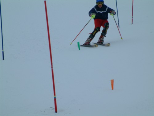 DSCF0084.JPG (18KB)