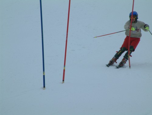 DSCF0025.JPG (20KB)