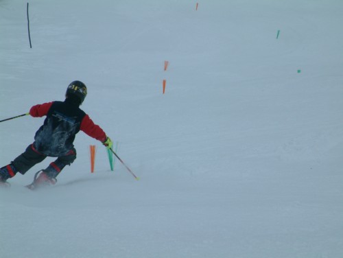 DSCF0033.JPG (19KB)