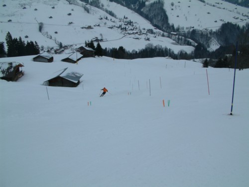DSCF0047.JPG (29KB)