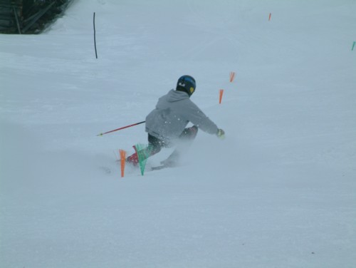 DSCF0052.JPG (19KB)