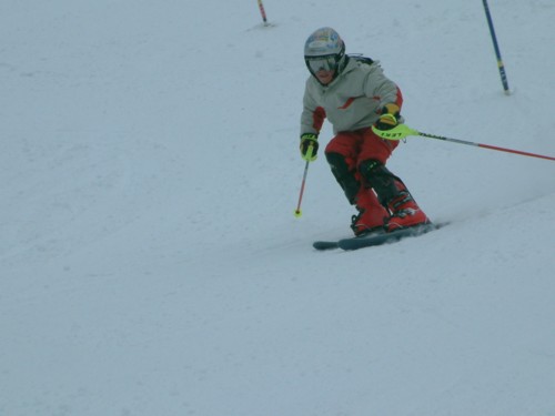 DSCF0092.JPG (22KB)