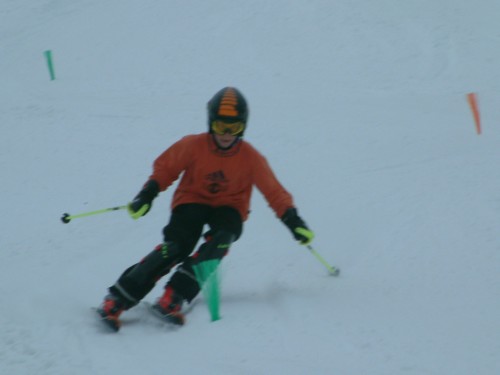 DSCF0103.JPG (19KB)