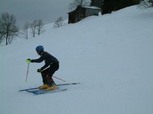 DSCF0118.JPG (25KB)