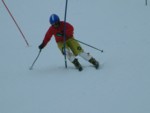 DSCF0135.JPG (20KB)