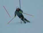 DSCF0138.JPG (20KB)