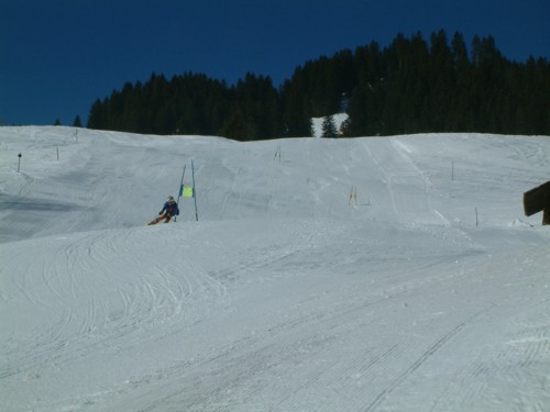 DSCF0008.JPG (30KB)