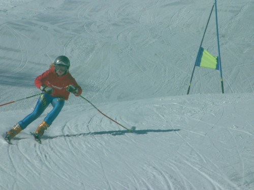 DSCF0128.JPG (38KB)