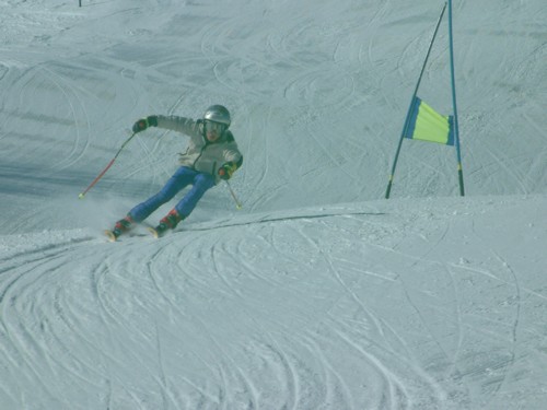 DSCF0138.JPG (38KB)