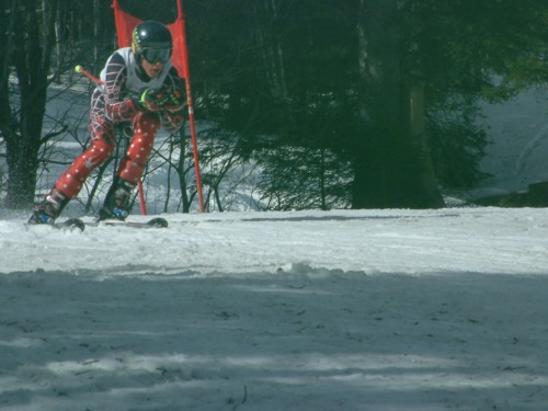 DSCF0043.JPG (43KB)