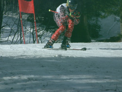 DSCF0044.JPG (46KB)