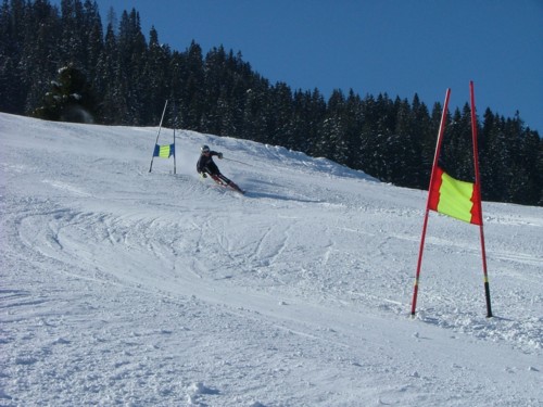 DSCF1974.JPG (56KB)
