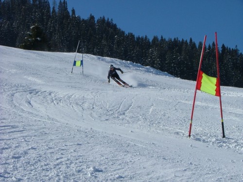 DSCF1975.JPG (57KB)