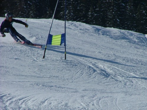 DSCF1990.JPG (61KB)
