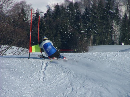 DSCF2048.JPG (61KB)