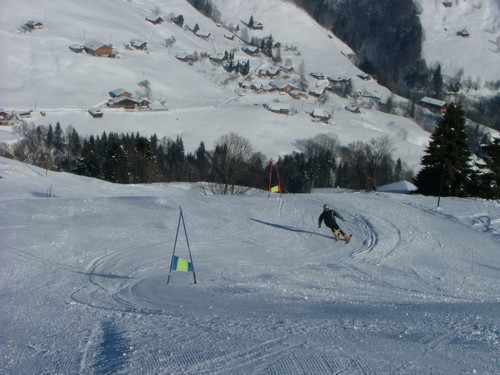 DSCF2061.JPG (56KB)