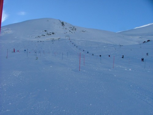 DSCF3296.JPG (28KB)