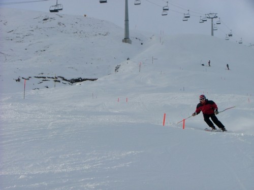 DSCF3733.JPG (29KB)