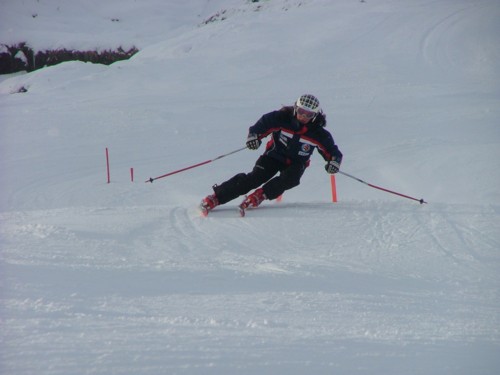 DSCF3737.JPG (29KB)
