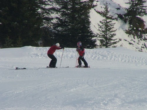 DSCF3741.JPG (53KB)