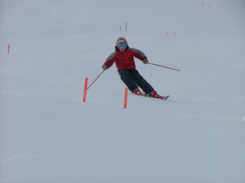 DSCF3748.JPG (17KB)
