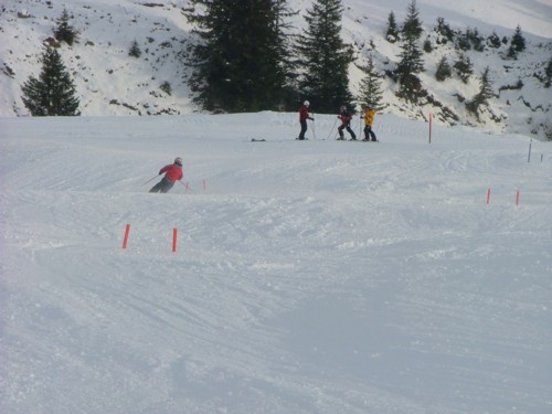 DSCF3754.JPG (43KB)