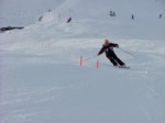 DSCF3725.JPG (27KB)