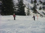 DSCF3731.JPG (62KB)