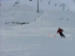 DSCF3732.JPG (29KB)