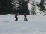 DSCF3741.JPG (53KB)