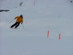 DSCF3743.JPG (20KB)