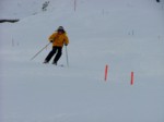 DSCF3744.JPG (20KB)