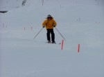 DSCF3745.JPG (20KB)