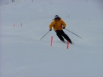 DSCF3746.JPG (19KB)