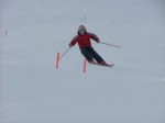 DSCF3748.JPG (17KB)