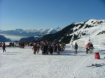 DSCF4008.JPG (51KB)