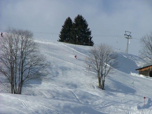 DSCF4067.JPG (47KB)