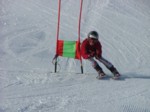 DSCF4071.JPG (52KB)