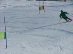DSCF4079.JPG (54KB)