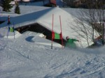 DSCF4105.JPG (63KB)