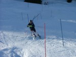 DSCF4171.JPG (50KB)